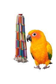 Resim Hype Store Super Bird Creats Kuşlar için Rüzgar Çanları Oyuncak 