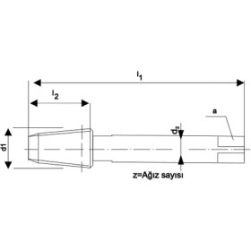 Resim Fett Npt 1 -11,5 Pld DIN2181 Hss Npt Konik Makina Kılavuzu 