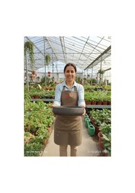 Resim Hanımeli Taş Saksı 25 8 Cm Yaklaşık 