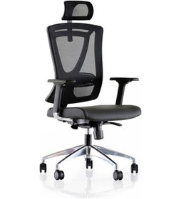 Resim Uzayofismobilyaları Uzay Ofis Elegan File Müdür Koltuğu - Siyah 