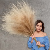 Resim 3 adet Yapay Pampas Çimi Dekoru, 109.22cm Yükseklikte Sahte Buluş Çiçeği, Ev Düğün Partisi Boho Dekorasyonları için Plastik Sahte Bitkiler, Şükran Günü Sevgililer Günü Anneler Günü Lei Günü Yeniden Birleşme, Bej + Taupe 