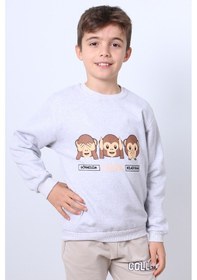 Resim Hçm Erkek Çocuk Şardonlu Sweat Karakter Baskılı Ribanalı E34 Gri 