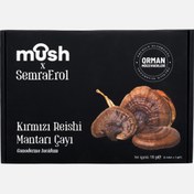Resim Kırmızı Reishi Mantarı Çayı (Ganoderma lucidum) 
