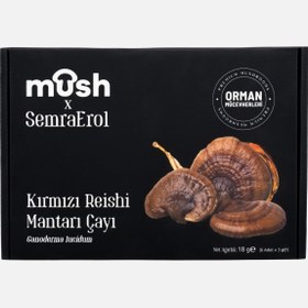 Resim Kırmızı Reishi Mantarı Çayı (Ganoderma lucidum) 