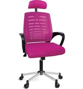 Resim Türksit Karizma File Müdür Koltuk Metalik Gri Boyalı Ayak Pembe 