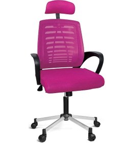 Resim Türksit Karizma File Müdür Koltuk Metalik Gri Boyalı Ayak Pembe 