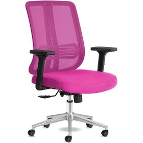 Resim Calitteoyuncukoltuk Calitte Yönetici Çalışma Koltuğu | Spark Başlıksız | Pembe Krom 