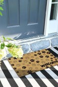 Resim Patiler Kapı Önü Paspası Dekoratif Kapı Paspası Dış Mekân Paspas Ev İçi Paspası 45x70cm 