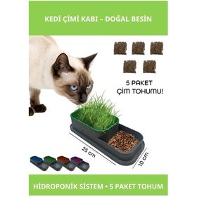 Resim Topraksız Hidroponik Kedi Çimi Kabı 25x10 Cm İle 5 Paket Çim Tohumu 