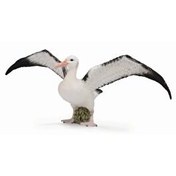 Resim Collecta Gezgin Albatros 