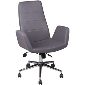 Resim Vector Three Gri Deri Makam Koltuğu Gri 