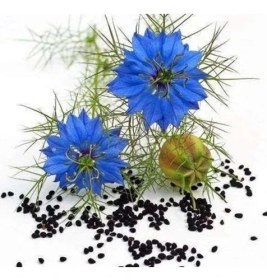 Resim Buğz Mediterian Onarıcı Çörek Otu Kremi 100 ml 4 Adet/ Mem Medikal Ecza Marketi Çörek Otu Kremi 100 ml 