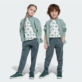 Resim Adidas X Star Wars The Mandalorian Çocuk Eşofman Altı C-adıjf3652c40a00 Yeşil 