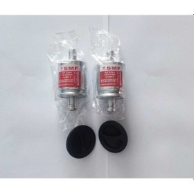 Resim Oem Lpg Filtresi Atiker Akl Zavoli Vikars Uyumlu 12x12mm 2 Adet 