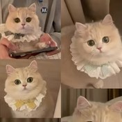 Resim Küçük ve Orta Boy Evcil Hayvanlar İçin Ayarlanabilir Kedi & Köpek Önlüğü - Yumuşak Polyester Fırfır Yakalı, Kareli, Gingham ve Çiçek Desenli, Tüm Mevsimler İçin Sevimli Aksesuar, Sadece Elde Yıkama, Kolay Bakım Kumaşı 