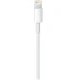 Resim Apple USB-C - Lightning Kablo 1 m MM0A3ZM/A Lightning (8 Pin) Bağlantı Tipi Hızlı Şarj Destekli iPhone ve iPad İçin 