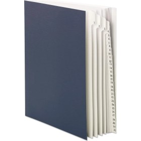 Resim Tech Butiq Masa Dosyası/sıralayıcı, Günlük (1-31), 31 Bölücü, Mektup Boyutu, Koyu Mavi (89294) 