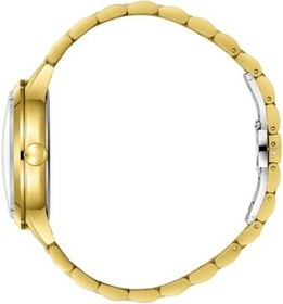 Resim SLAZENGER, ÇELİK KASA, ÇELİK KORDON, QUARTZ, 41MM, 5ATM, ERKEK KOL SAATİ, SL.09.2495.1 