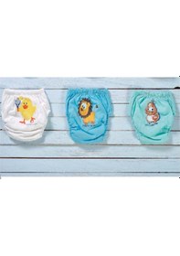 Resim Erkek Bebek Alıştırma Külodu Erkek 