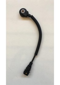 Resim Sensör Vuruntu Accent 95-00 / 39250-22010 