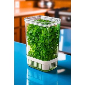 Resim Yeşillik Saklama Kabı - Taze Yeşillik Için - Soğan Maydanoz Vb Yeşillik Saklama 721958 