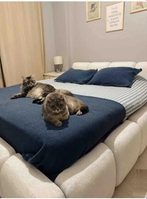 Resim Most Oktagon Bazalı Karyola 180x200 Beyaz Bukle Kumaş İşbir Kuştüyü Sünger 