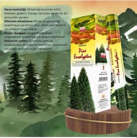 Resim Çam Ve Okaliptüs Tütsüsü 20 Çubuk 