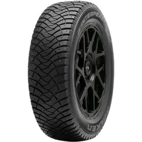 Resim Falken Winterpeak F-ıce1 225/45R17 94T XL M+S 3pmsf Kış Lastiği 2023 