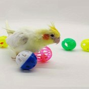 Resim 5 Adet Zil İçeren Etkileşimli Kuş Oyuncakları - Renkli Çiğnemeye Dayanıklı Zilli Toplar, Papağan ve Kuşlar için Kaliteli Plastik Zeka Geliştirici ve Egzersiz Oyuncağı, Kafes Zenginleştirme, Canlı Tasarım 