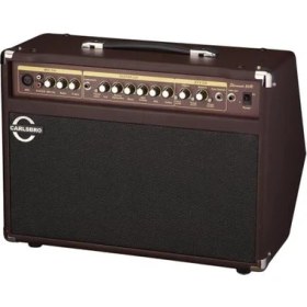 Resim SHERWOOD30R 30 Watt Akustik Amfi (Reverb) 