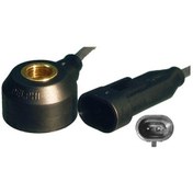 Resim Delphi As10134-12b1 Vuruntu Sensörü X16xel Astra F Vectra B Corsa B 6238370 