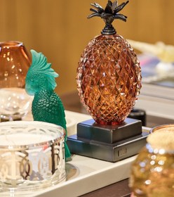 Resim Ananas Kitap Desteği - Günbatımı 