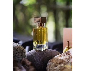 Resim Tortum Parfüm Kadın Asia 30ml 