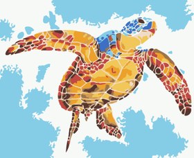 Resim Sayılarla Boyama Seti - Kaplumbağa - 40x50 