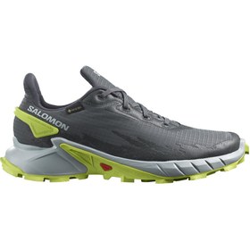 Resim Salomon Alphacross 4 Gore-Tex Erkek Patika Koşu Ayakkabısı L47066700 