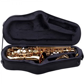 Resim Fox YAS-6108L Alto Saksafon | Öğrenci ve Orta Seviye İçin İdeal 