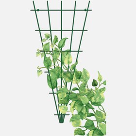 Resim Gardener Sarmaşık Bitkilere Özel Üçgen Destek Kafesi Yeşil 