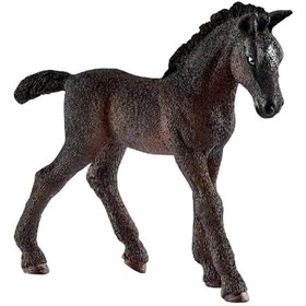 Resim Schleich Lipizzaner Tayı 13820 