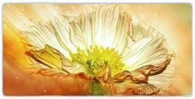 Resim Colorix Carpet Kaymaz Taban Tezgah Önü Mutfak Paspası 75x150 Cm No: 072 