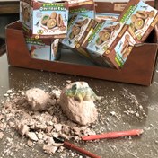 Resim Arkeolojik kazı dinozor yumurtaları, trend hazine kazma oyuncakları, yaratıcı el yapımı iskelet oyuncaklar, Cadılar Bayramı ve Noel hediyeleri 