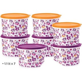 Resim Tupperware Renkli Buzdolabı Taşıma Ve Saklama Kabı 11 L 7Li Set Çok Renkli 
