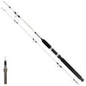 Resim Remixon Hurricane Serisi 165cm 20-40 Lbs Tekne - Bot Olta Kamışı 