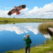 Resim Ekstra Büyük Kartal Uçurtması - 110.01cm Kanat Açıklığı, Uzun İpler (30.0 metre Toplam), Gerçekçi Kahverengi/Kırmızı/Siyah Tüy Tasarımı - Dış Mekan Uçuşu için Sağlam Uçurtma, Doğum Günü Partileri, Uçurtma Dövüşü - Yetişkinler ve Gençler İçin Uygun - Kırmızı, Siyah, Çok Renkli Seçenekler, Park Aktiviteleri, Güçlendirilmiş Çerçeve, Aile Eğlencesi 