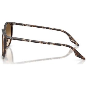 Resim Ray-Ban Rb 2204 143151 51 Erkek Güneş Gözlüğü Siyah 