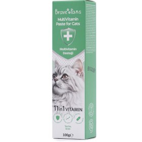 Resim BRAVE PAWS Kedi Multivitamin Kedi Malt Macunu Kedi Vitamini 11 Vitaminli 