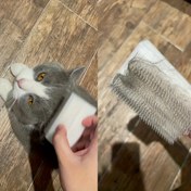 Resim Yumuşak Kıllı Kedi Dil Fırçası - Kediler ve Köpekler için Nazik Evcil Hayvan Bakım Aracı, PVC'siz Tasarım, Rahat Masaj & Tırnak Temizliği, Elektriksiz, Küçük Hayvanları Sakinleştirme ve Şekillendirme İçin İdeal 