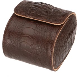 Resim Onywatch Gerçek Devekuşu Deriisi Saat Saklama Kutusu Saat Rollu Watch Roll Rolex Box 