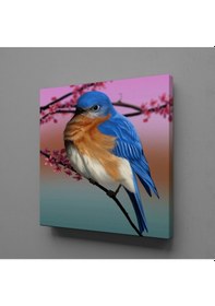 Resim Mavi Kuş Kanvas Tablo 30x30cm 