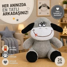 Resim Ohbe Express Ofis Hediyesi Tavşan 20-25 cm Figürlü Pelüş Ayıcık, 20 Cm,sevgiliye Hediye,ayı,peluş Ayıcık,plush Toys, (Eşek) 