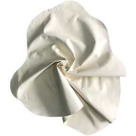 Resim Hakiki Deri Cam Bezi - Gerçek Güderi Bez - Köpek Bezi - 20x35 cm 